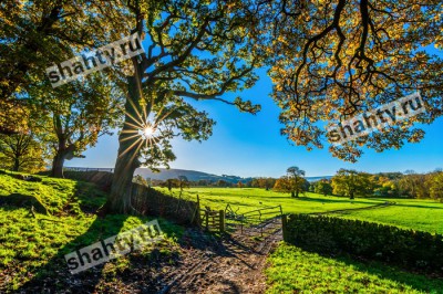 До 27 градусов тепла в Шахтах: погода в пятницу и выходные