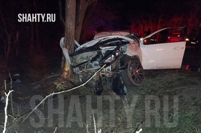 Погибла пара: 29-летняя автоледи врезались в дерево в Ростовской области