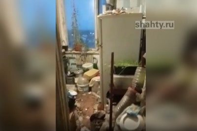 В Шахтах не решена проблема квартиры с дохлыми кошками