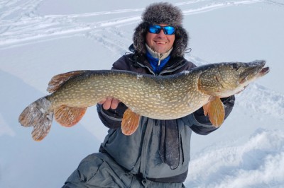 Ловит крупных щук житель Ростовской области: одна в одну