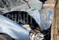 Погиб водитель: LADA Kalina врезалась в дерево в Ростовской области