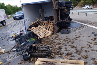 Фургон с живыми раками перевернулся на трассе М-4 «Дон»