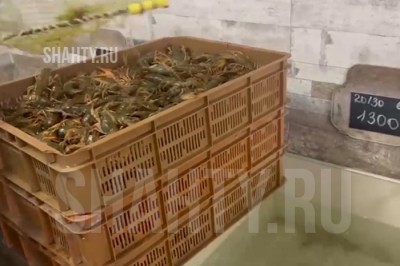 У владельца магазина изъяли 4,5 тысячи раков в Новочеркасске