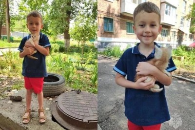 В г. Шахты спас котенка пятилетний мальчик Тимофей
