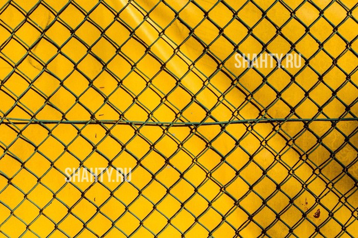 Установили 5-километровую особую зону на границе с Ростовской области