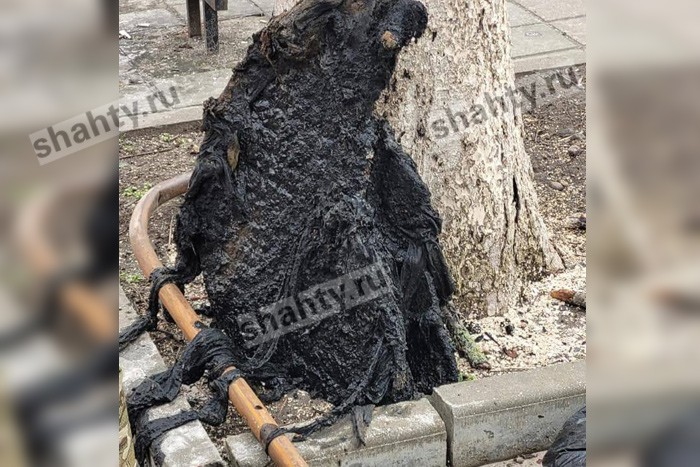 В Шахтах достали «монстра» из под земли: теперь на шахтинском Арбате