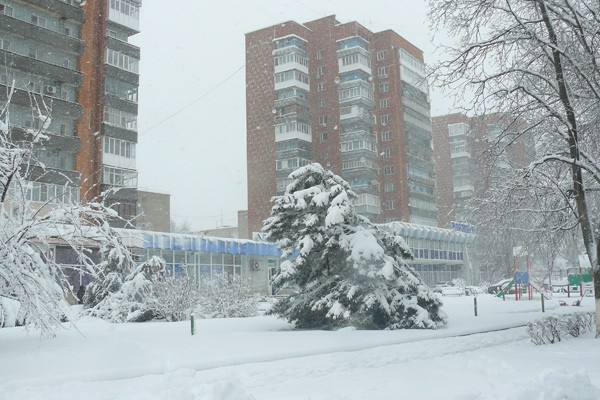Погода на неделю в г. Шахты — обещают снег и дожди