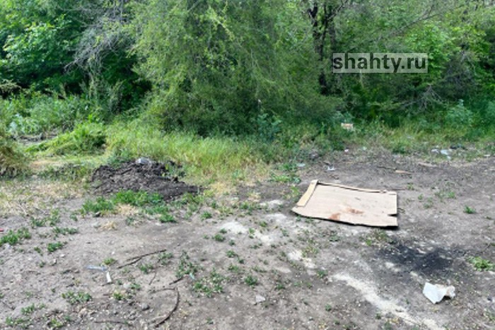 Пассажир зарезал таксиста и сжег в лесополосе в Ростовской области