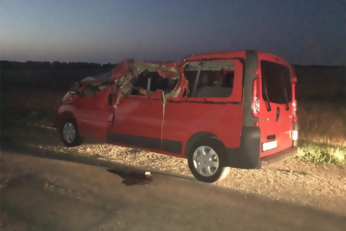 Упавшее бревно погубило пассажира микроавтобуса на трассе в Ростовской области