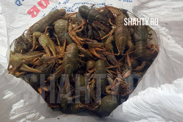 У двух рыбаков изъяли 413 раков в Ростовской области: браконьерам грозит срок