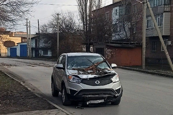 В г. Шахты рухнуло дерево на иномарку SsangYong — по области десятки случаев [Фото + видео]