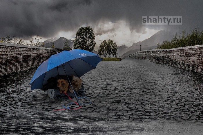 Погода в Шахтах на неделю — дожди, весеннее тепло и все раскиснет