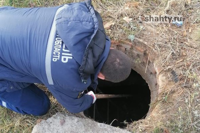 Собака угодила в открытый люк: скулившего пса достали из колодца спасатели