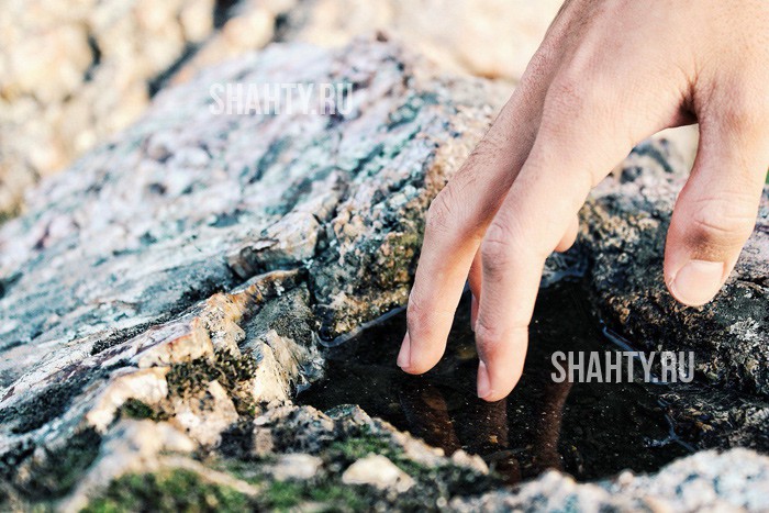 Наркоман камнем убил человека в Ростовской области