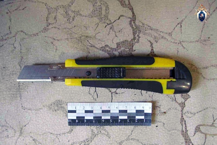 Нападал на людей с канцелярским ножом — дали 13 лет колонии