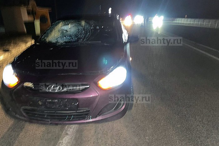 «Солярис» задавил пешехода, выбежавшего на трассу М-4 в Ростовской области