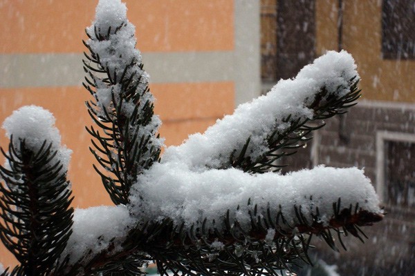 В г. Шахты обещают снегопад в Рождество