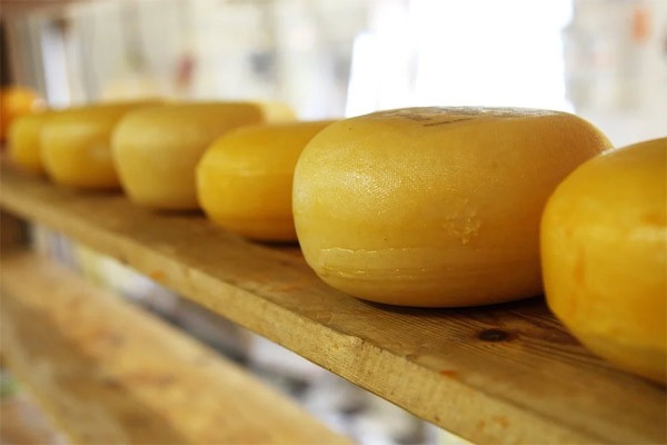 Житель города Шахты похитил сыр у сыродела