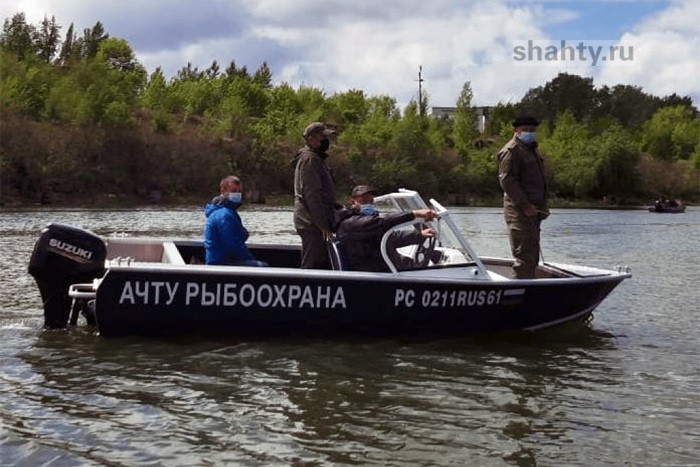 Могут разрешить вылов шемаи на Дону — численность популяции восстанавливается