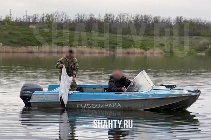 Выпустили 4000 раков в Соколовское водохранилище в Новошахтинске: браконьеров ищут