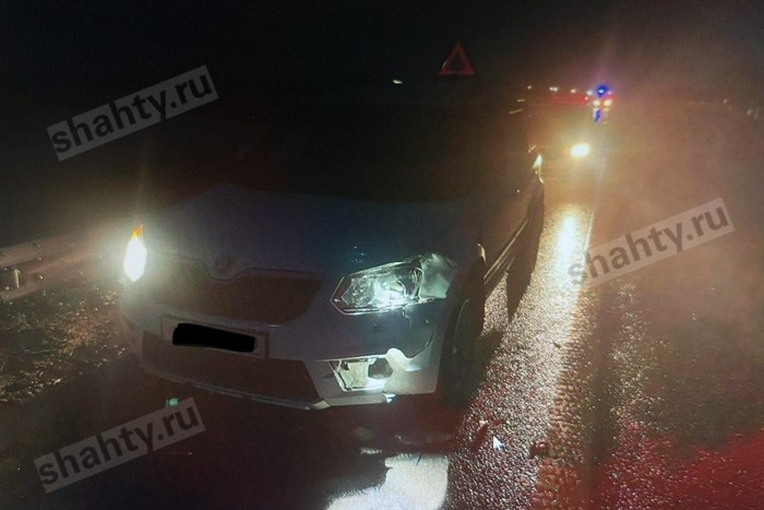 Сбили насмерть пешехода под Шахтами на трассе М-4 «Дон»