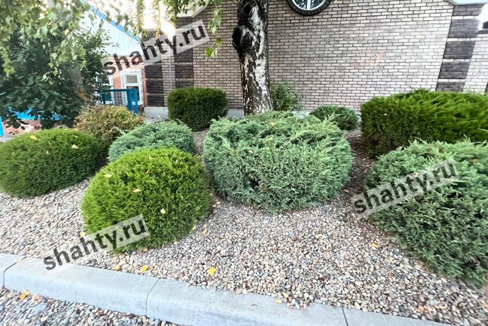 В Шахтах выберут лучшие благоустроенные дворы и дома