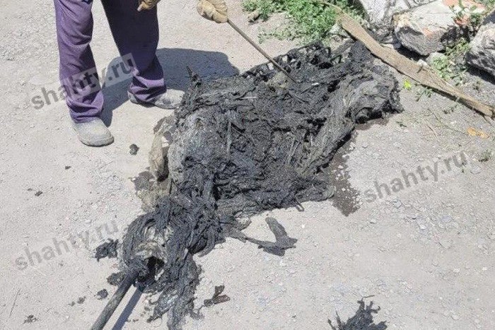 В Шахтах достали «монстра» из канализационного коллектора