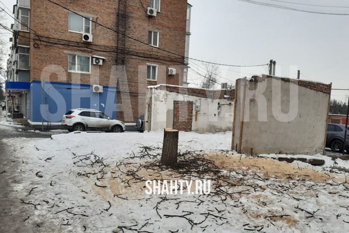 В Шахтах спилили дерево в центре на улице Советской: построят ларек?
