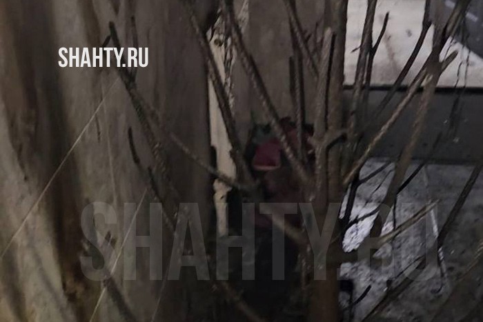 Сгорела новогодняя ель в доме у людей в Ростове