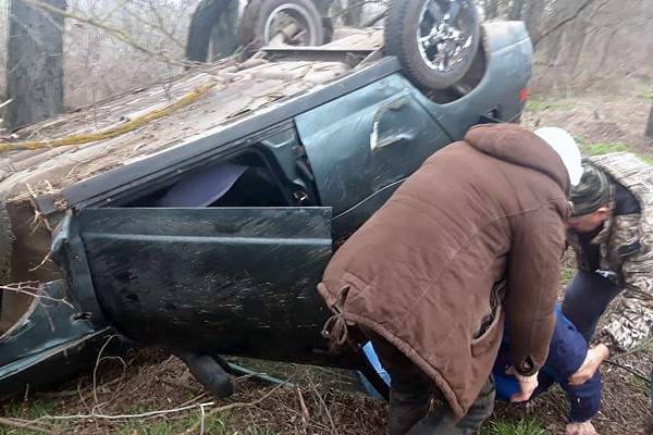 Протаранил дерево автомобиль на трассе Шахты — Цимлянск: пострадала девушка