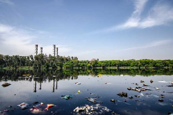 Рассказали о качестве воды в водоемах Ростовской области