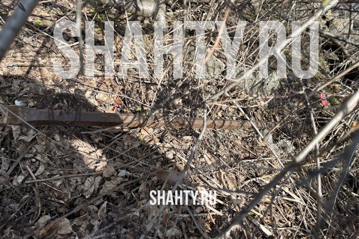 Младший брат ломом проломил голову своему старшему брату в Новошахтинске