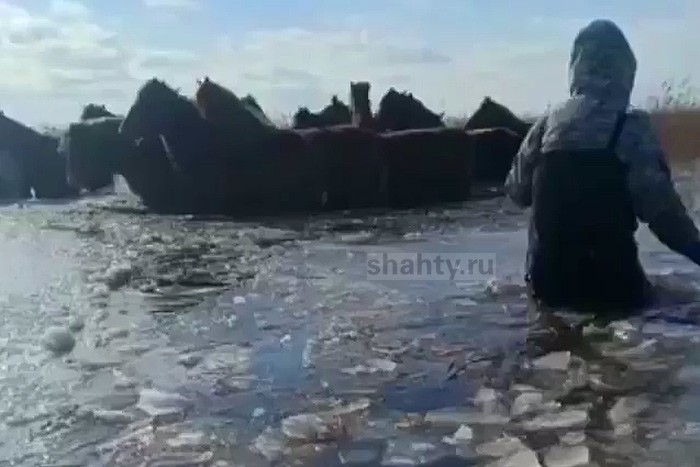 Спасли лошадей, вмерзших в лед на Дону [Видео]