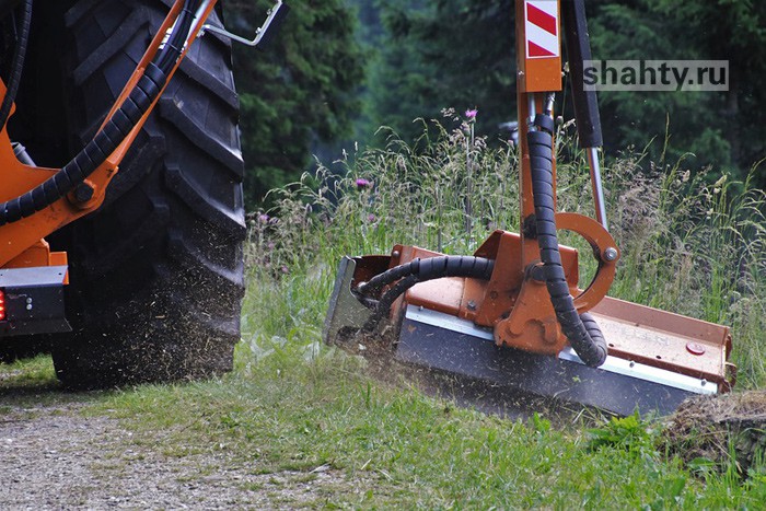 В Шахтах косят трын-траву под корень — на это выделят 7 миллионов рублей