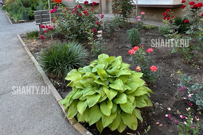 В г. Шахты есть благоустроенные дворы с ландшафтным дизайном