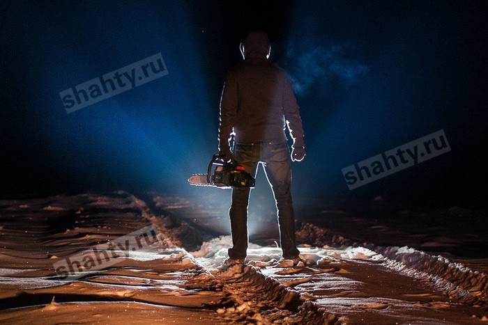 Спилил 23 дерева парень из г. Шахты и был задержан полицейскими: ущерб на 1,3 млн рублей