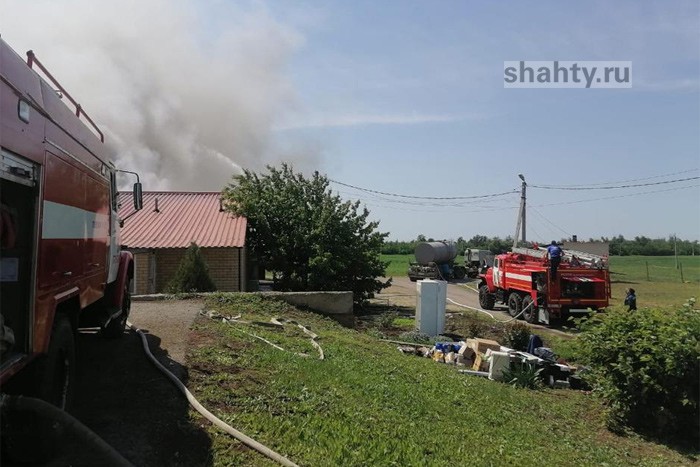 Погибло 11 тысяч свиней на ферме в результате пожара под Каменском-Шахтинским