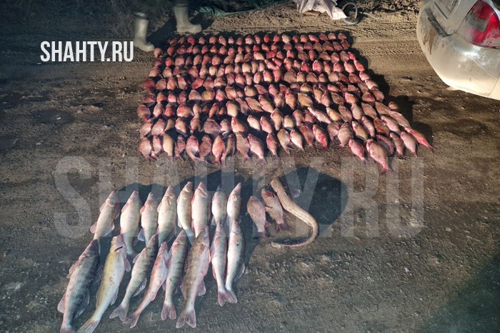 Рыбалка обойдется в 200 тысяч рублей для браконьера в Ростовской области