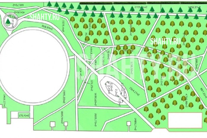 В парке г. Шахты высадят 74 канадские ел и удалят еще 47 деревьев