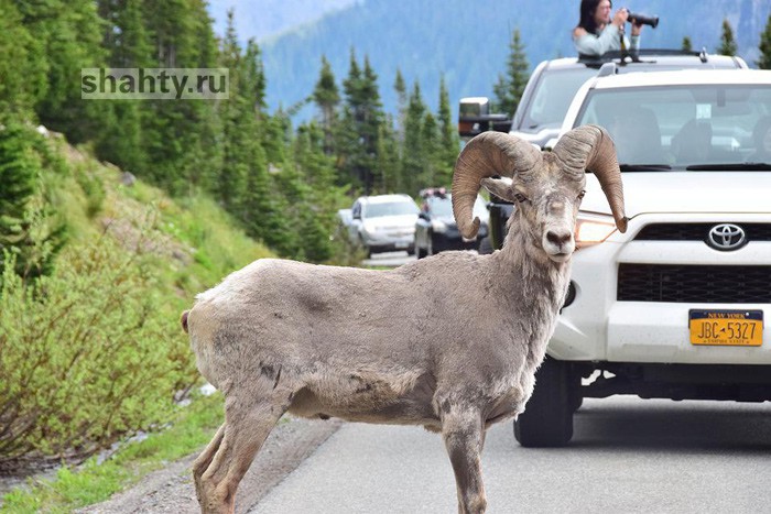В Шахтах водители сигналят на улицах: автомобилисты и мотоциклисты не знают ПДД