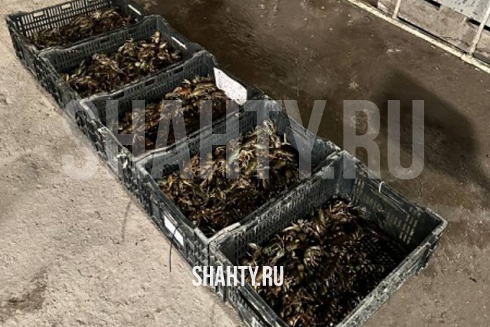 В г. Шахты полиция изъяла 260 кг раков без маркировки