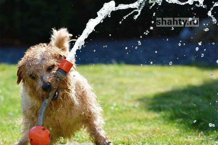 О погоде на выходных в Шахтах рассказали синоптики
