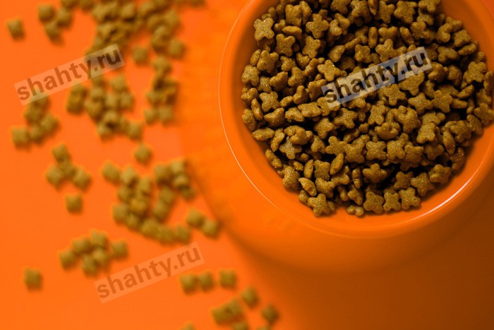 В Шахтах скостили срок грабителю, отобравшему у женщины пакет с кошачьим кормом и сосисками