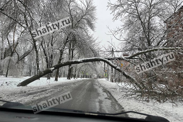 Список школ и детсадов в Шахтах, в которых отменили занятия