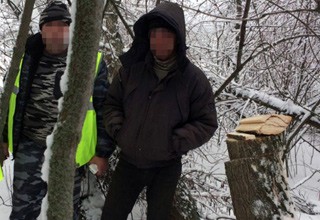 Парень спилил ясень и был задержан транспортными полицейскими г. Шахты [Фото]