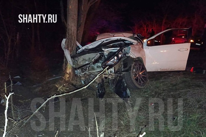 Погибла пара: 29-летняя автоледи врезались в дерево в Ростовской области