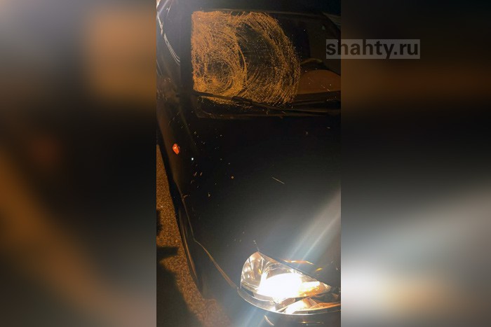 Сбили насмерть пешехода на трассе М-4 «Дон» в Ростовской области