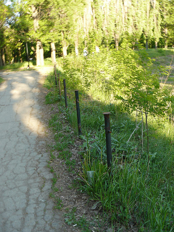 Ограды вокруг пятака в парке г. Шахты больше нет