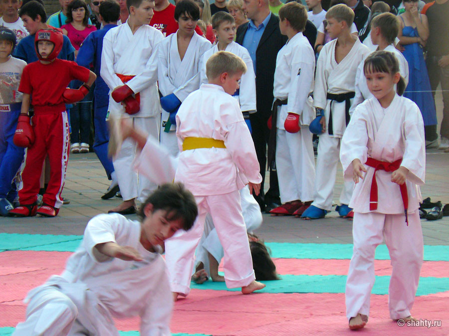 Фестиваль боевых искусств в г. Шахты